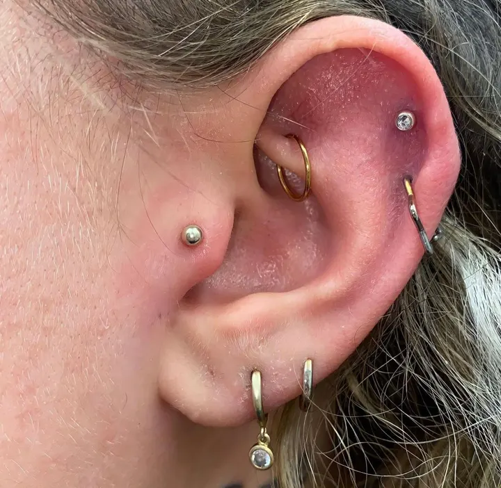 Body piercing by Zanzi Coates at Avinit Tattoo, Orpington (gallery image 7)
